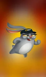 Rabbit Road